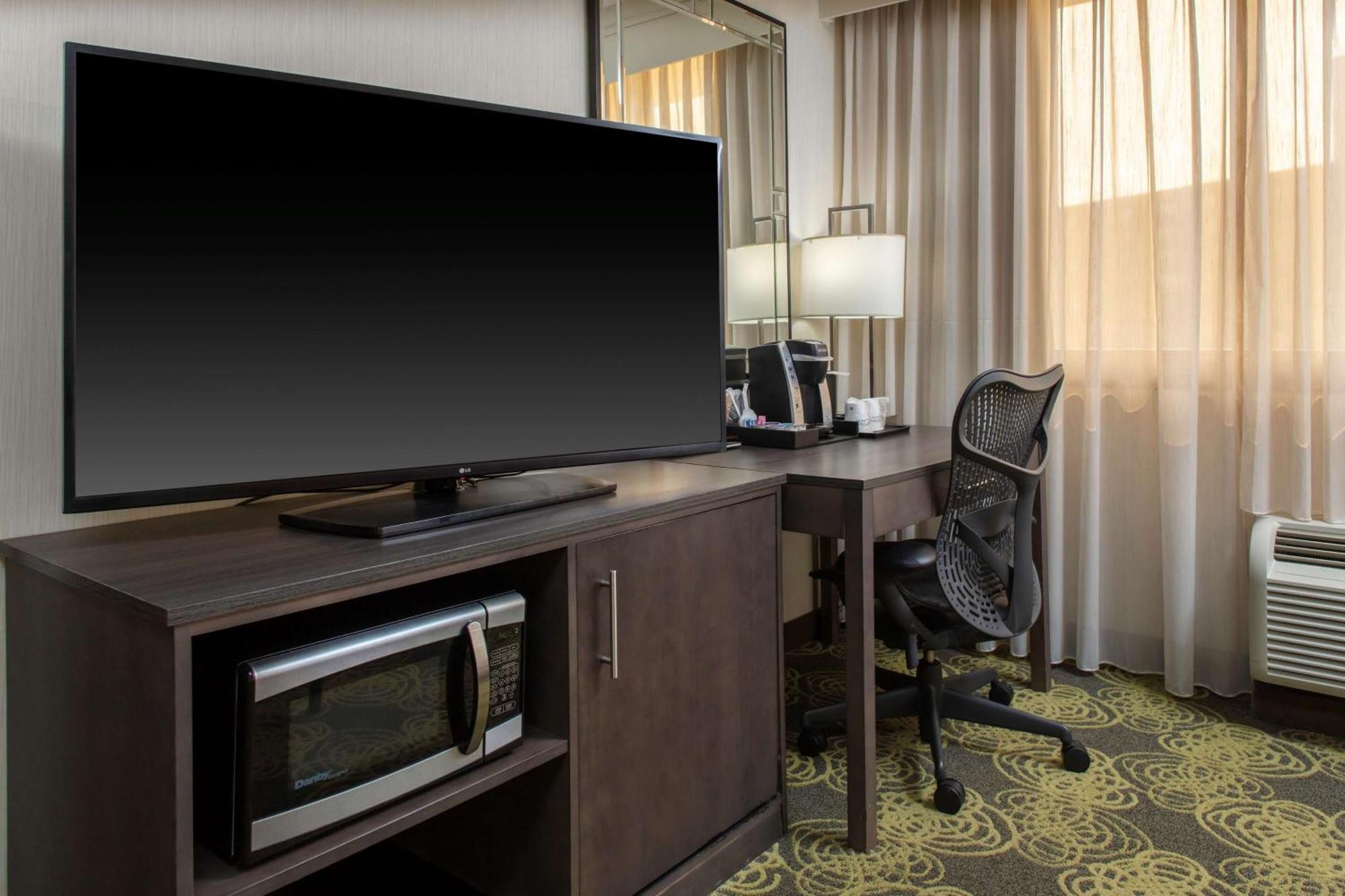 Standard One-Bedroom King Suite