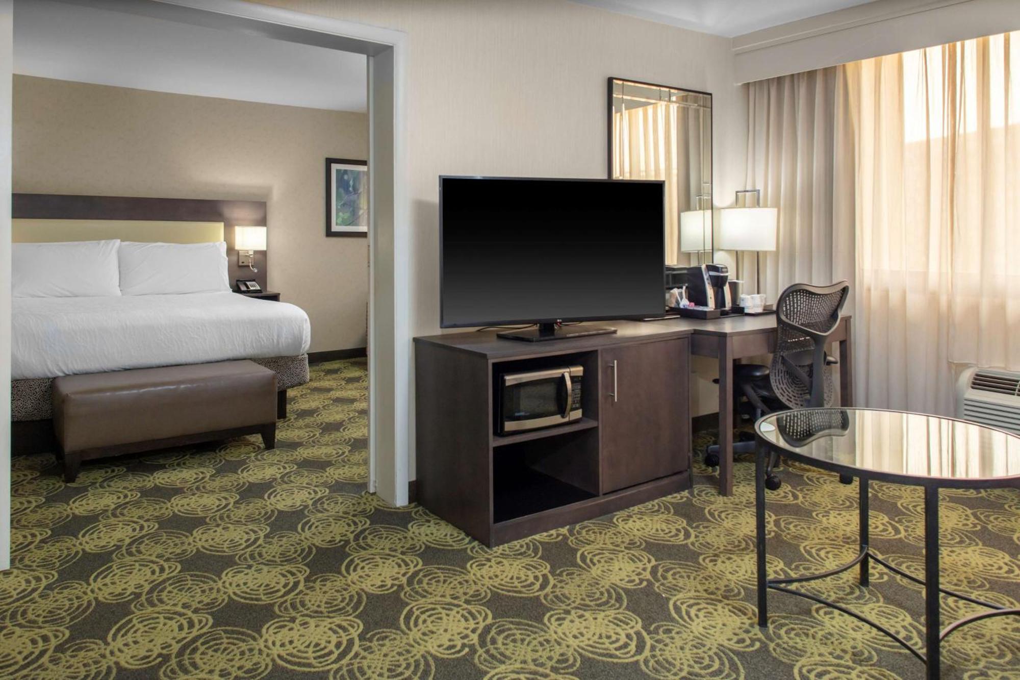 Standard One-Bedroom King Suite