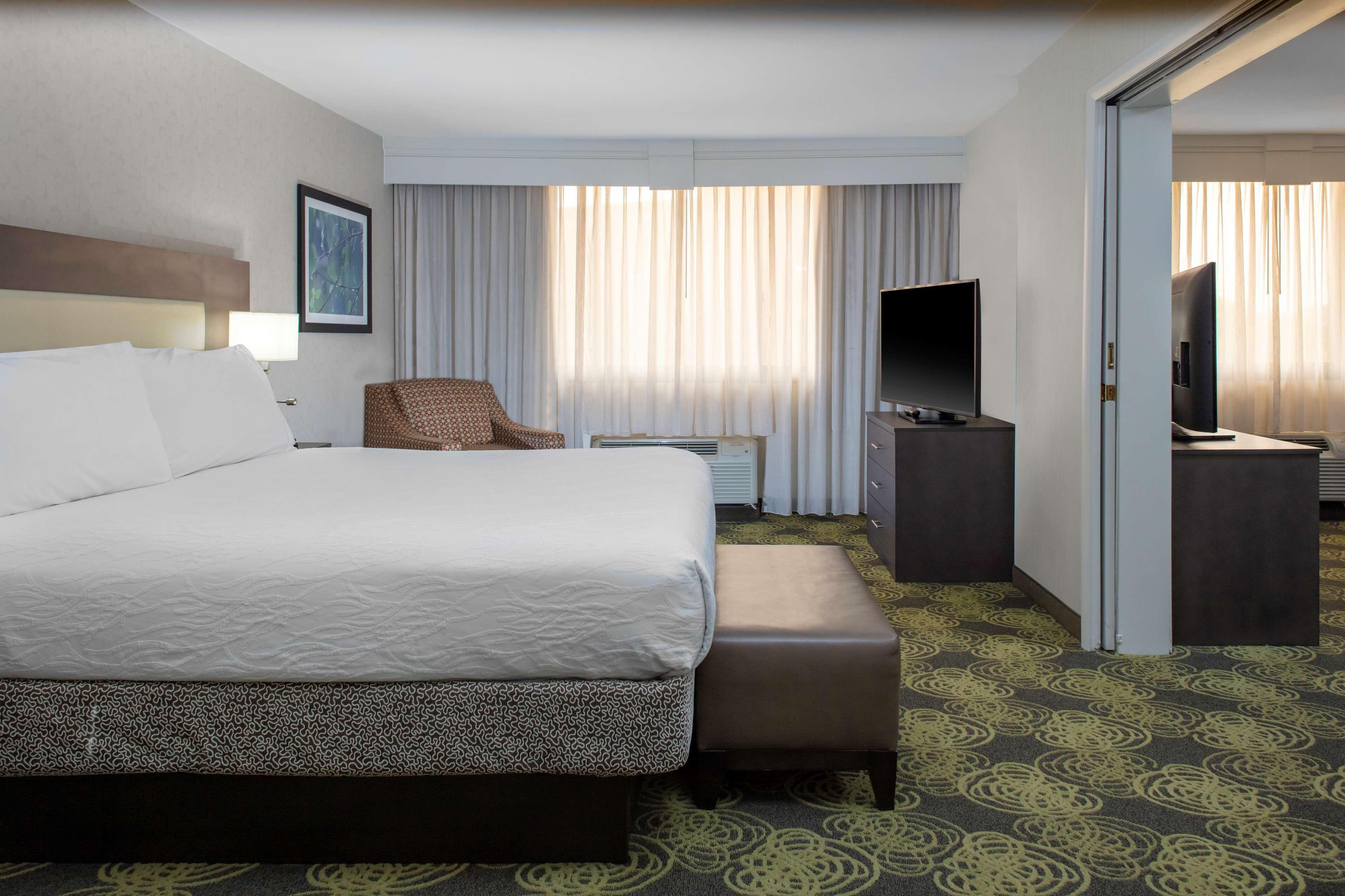 Standard One-Bedroom King Suite